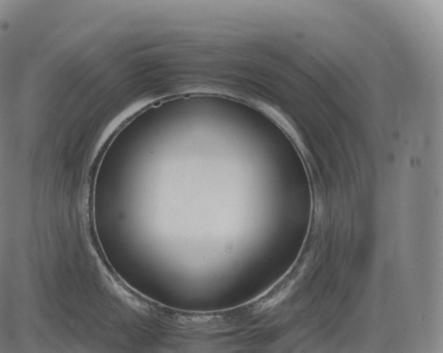 X0000083011149200702161545