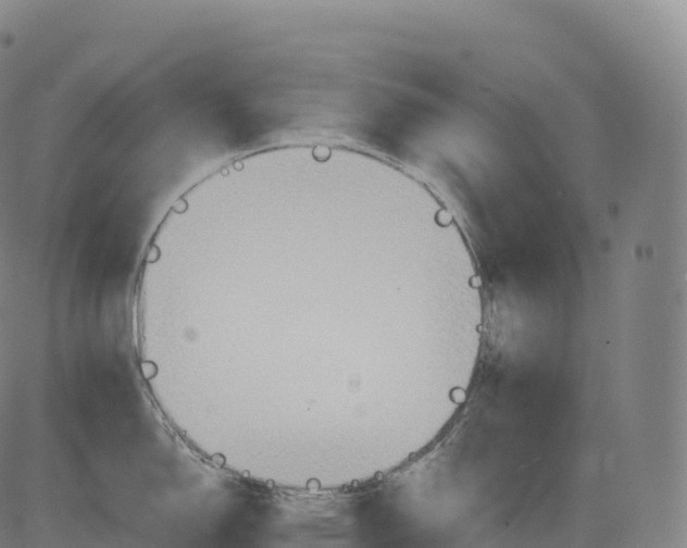 X0000083011150200702161545