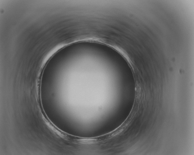 X0000083011151200702161545