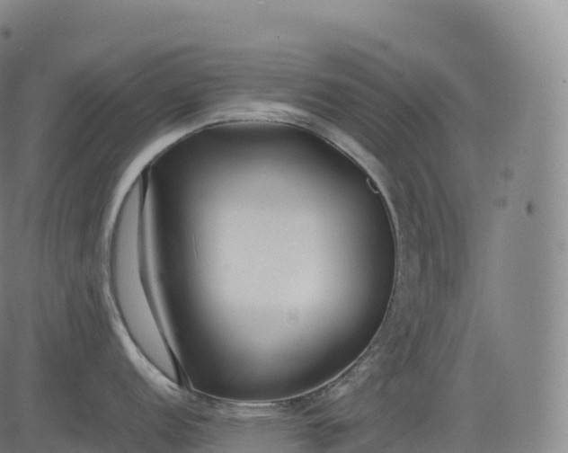 X0000083011152200702161545