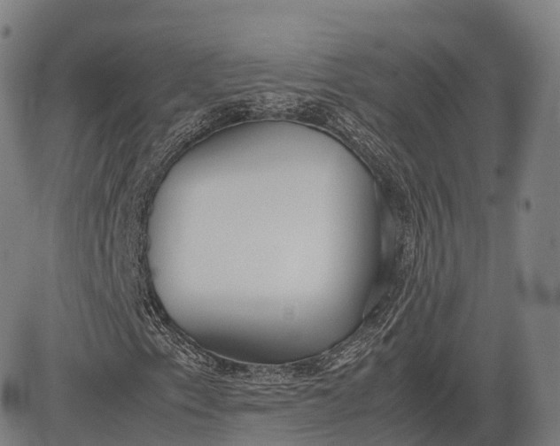 X0000083011153200702161544