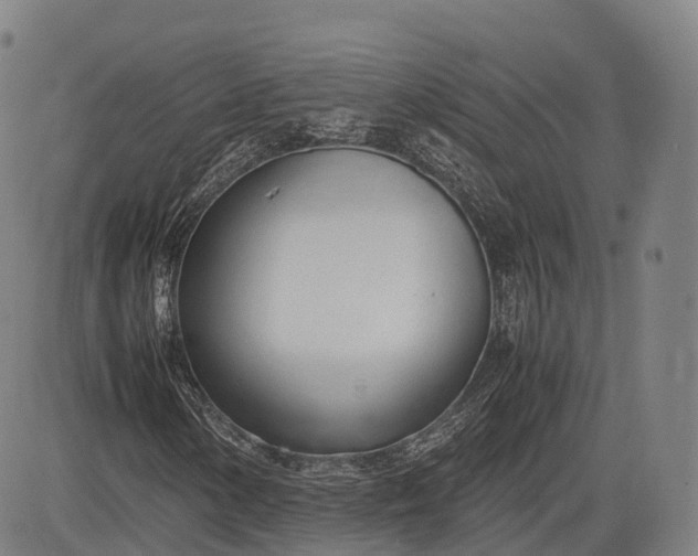 X0000083011154200702161544