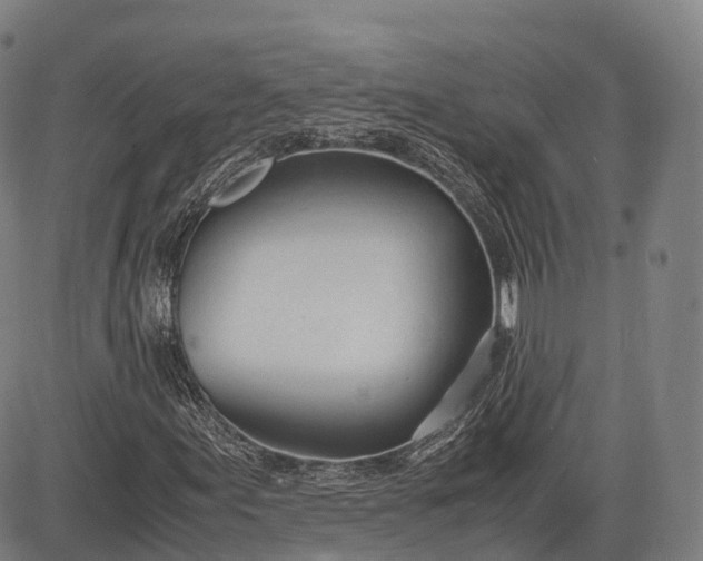 X0000083011155200702161544