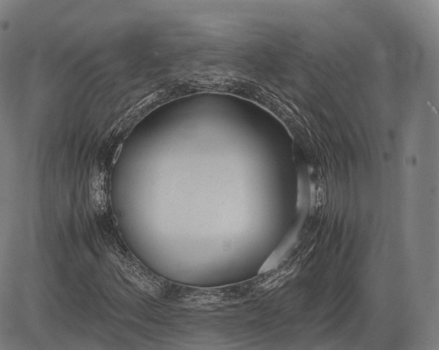 X0000083011156200702161544