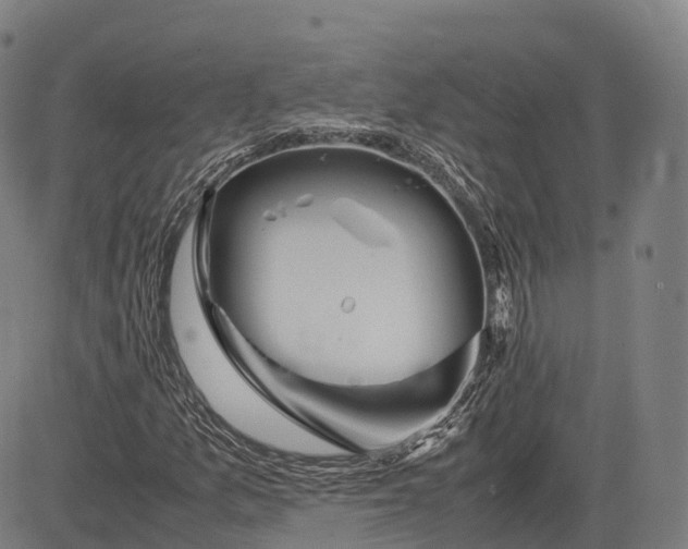 X0000083011157200702161544