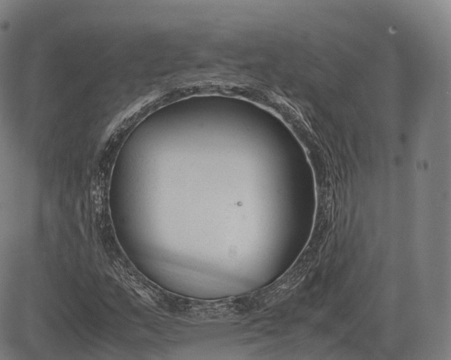 X0000083011159200702161544