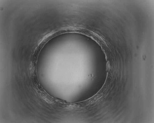 X0000083011160200702161544