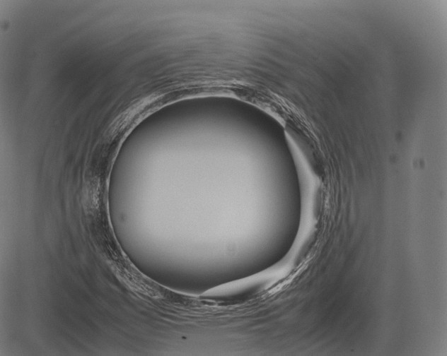 X0000083011161200702161544