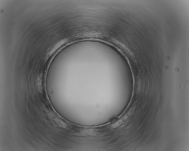 X0000083011162200702161544