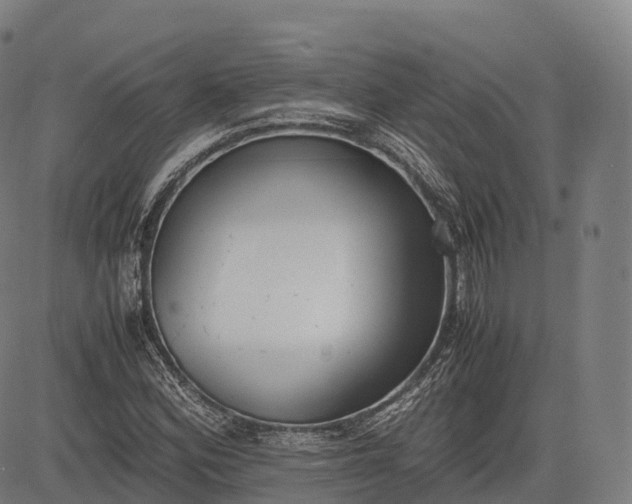 X0000083011164200702161544