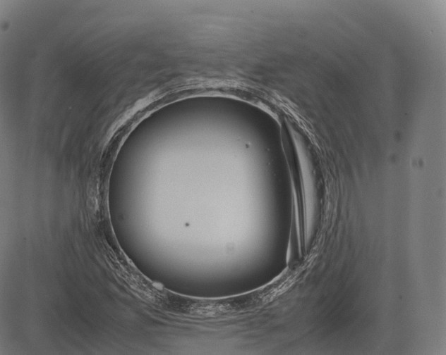 X0000083011165200702161544