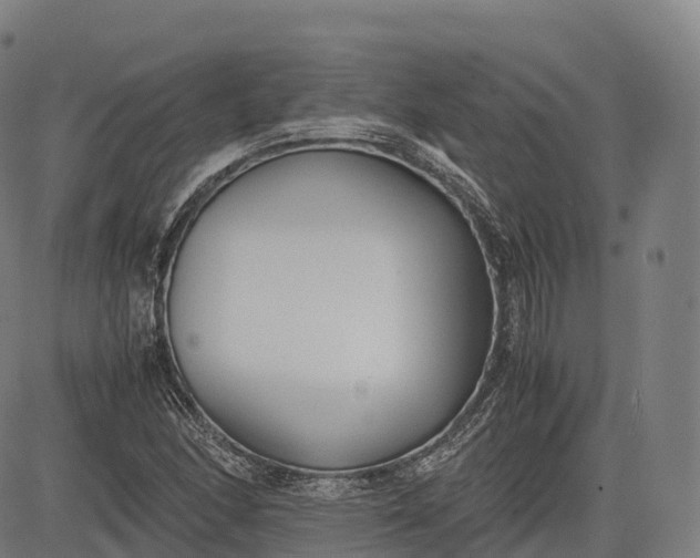 X0000083011166200702161544