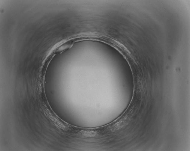 X0000083011168200702161544