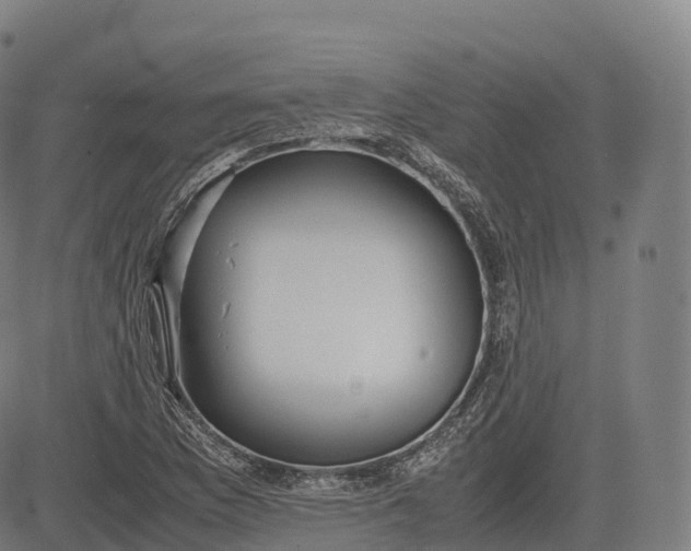 X0000083011169200702161544