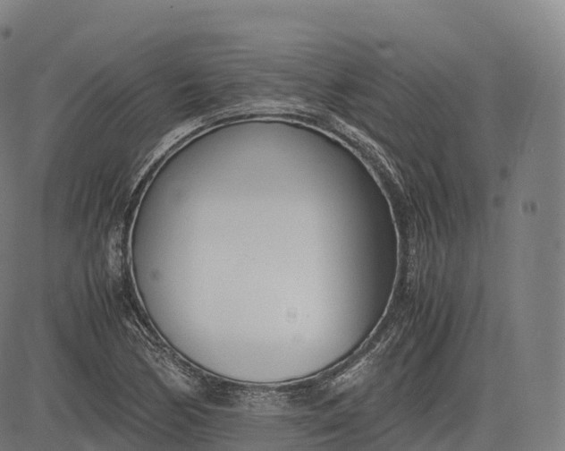 X0000083011170200702161544