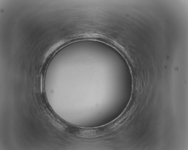 X0000083011171200702161544