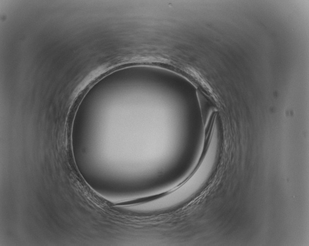 X0000083011173200702161544