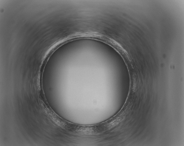 X0000083011174200702161544