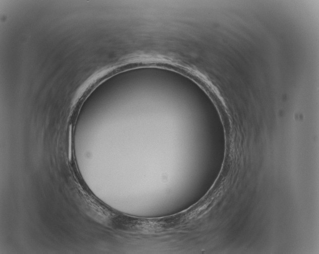 X0000083011175200702161544