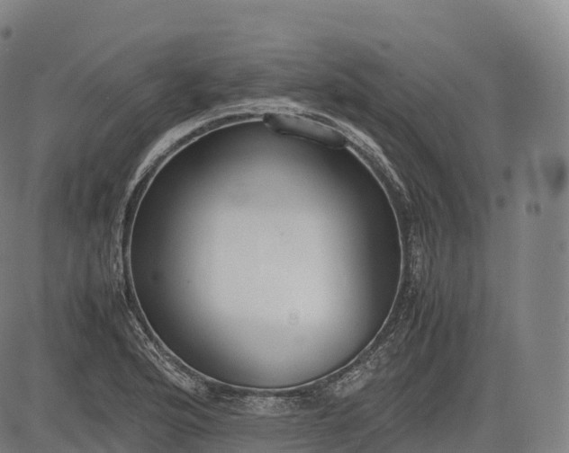 X0000083011176200702161544