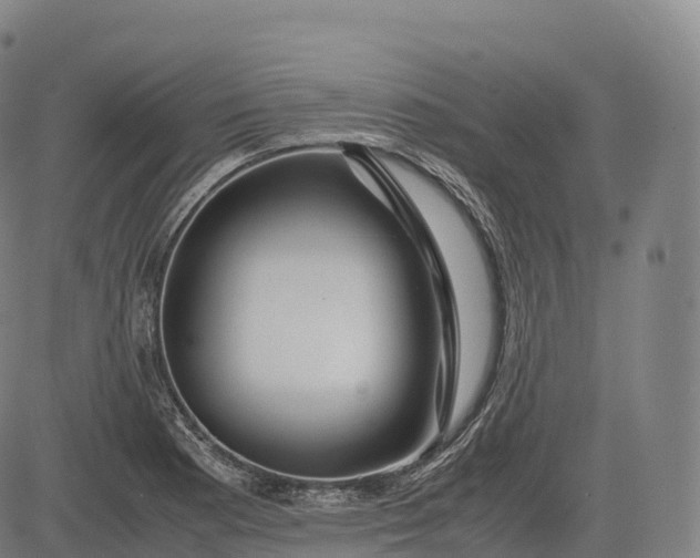 X0000083011177200702161544