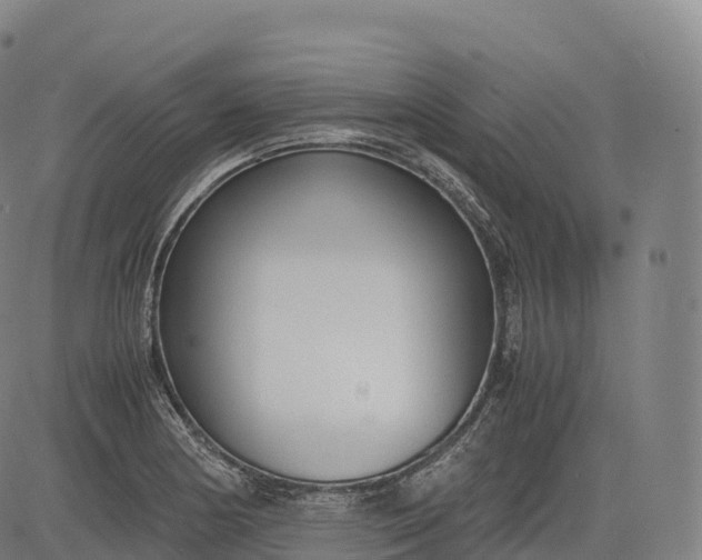 X0000083011178200702161544