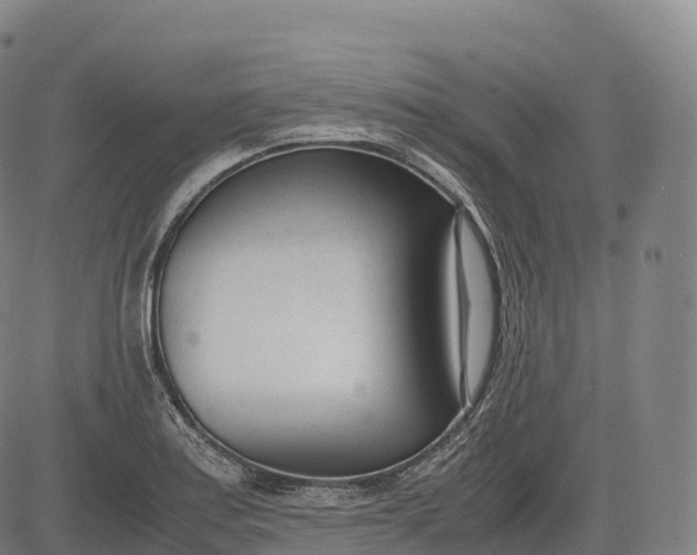 X0000083011179200702161544