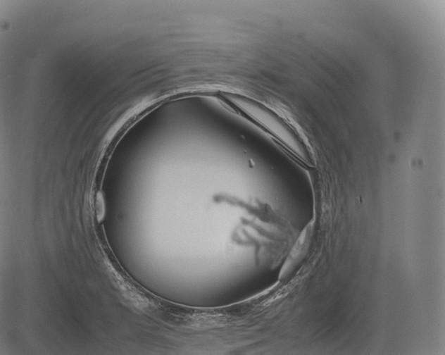 X0000083011181200702161544