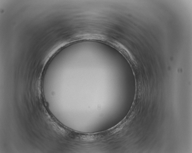 X0000083011182200702161543