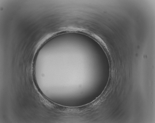 X0000083011183200702161543