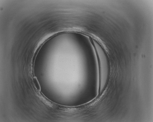 X0000083011184200702161543