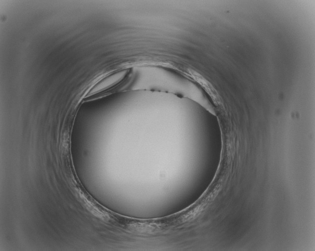 X0000083011185200702161543