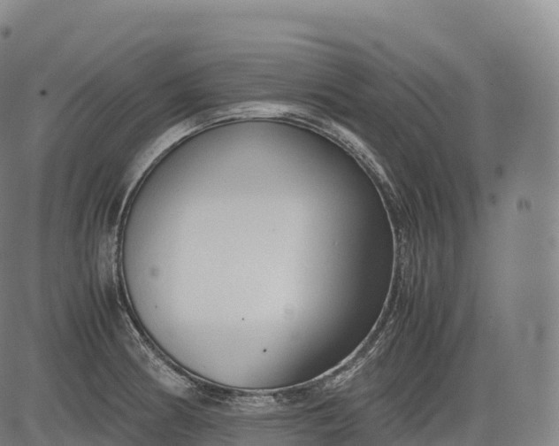 X0000083011186200702161543