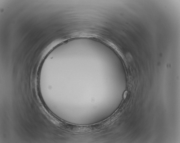 X0000083011187200702161543