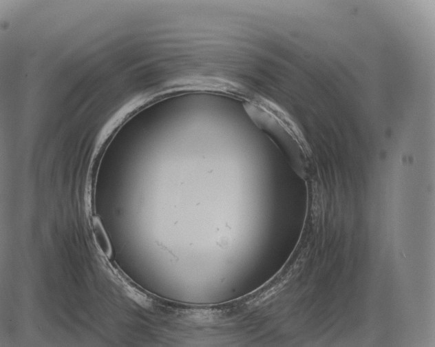 X0000083011188200702161543