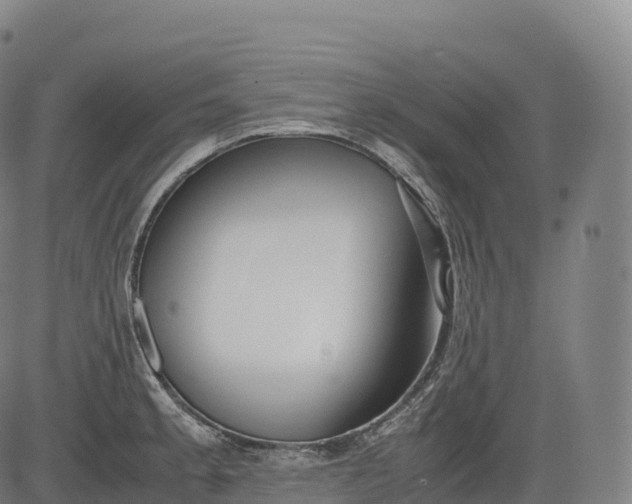 X0000083011189200702161543