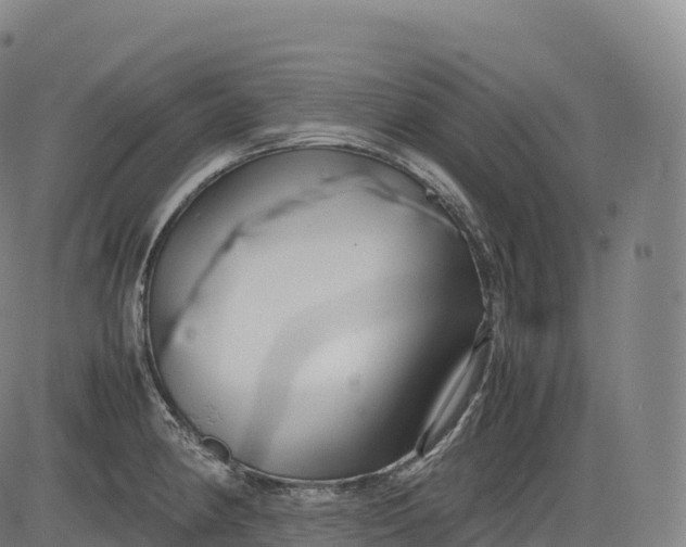 X0000083011190200702161543