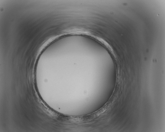 X0000083011191200702161543