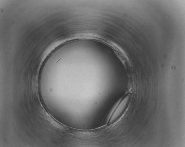 X0000083011192200702161543