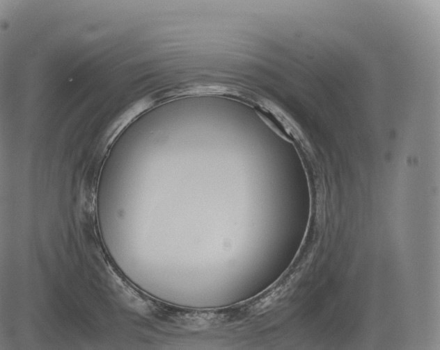 X0000083011193200702161543