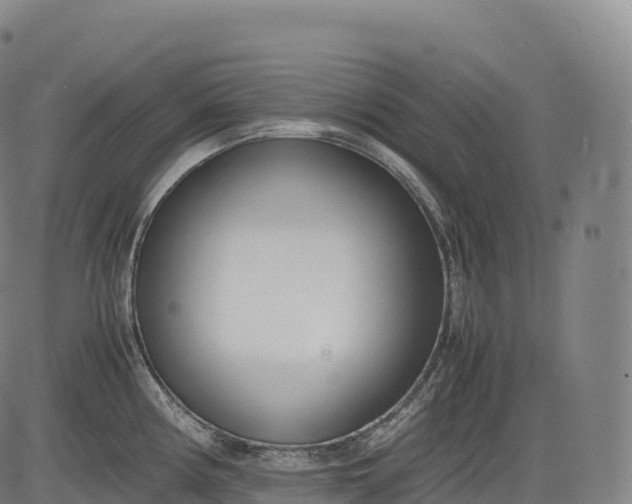 X0000083011194200702161543