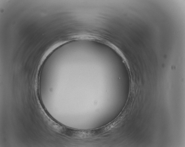 X0000083011195200702161543