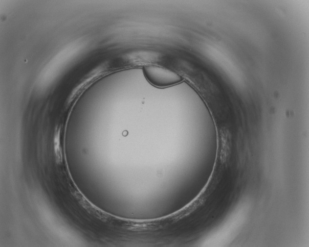 X0000083011198200702161543