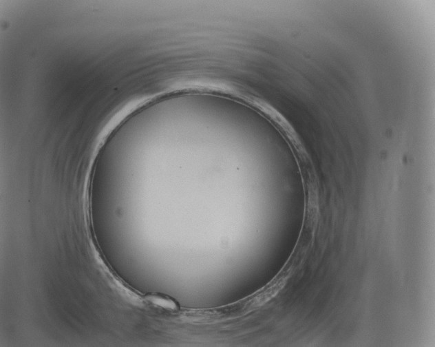 X0000083011199200702161543