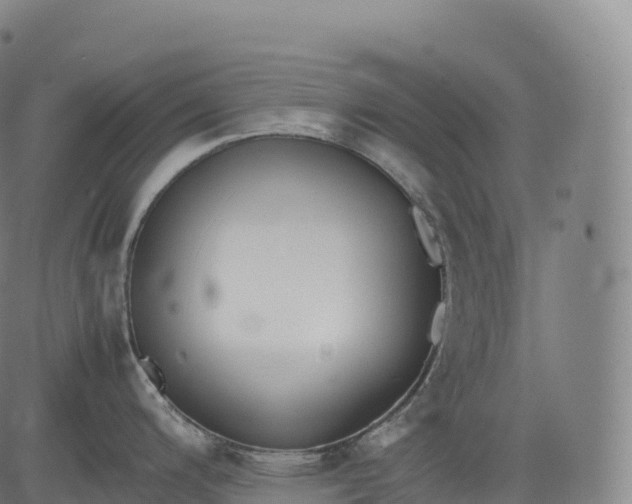 X0000083011200200702161543