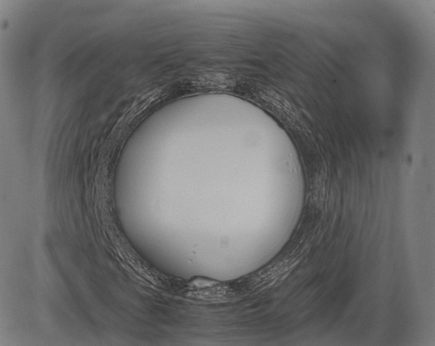 X0000083011201200702161542