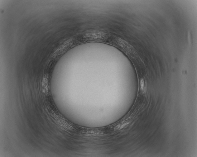 X0000083011203200702161542