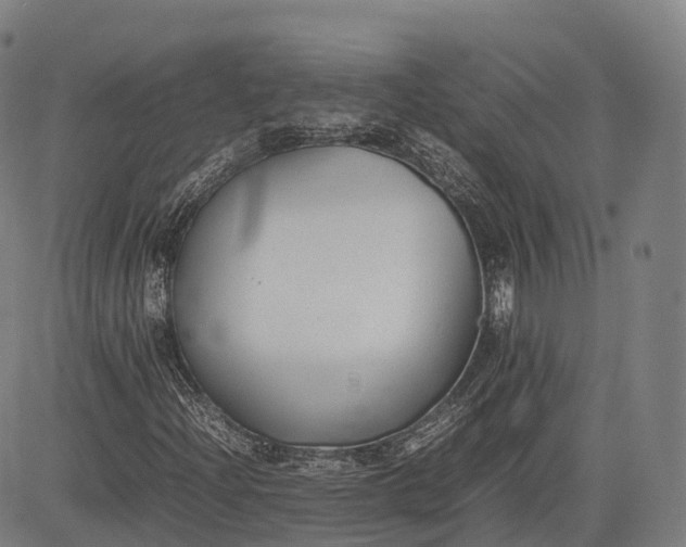 X0000083011204200702161542