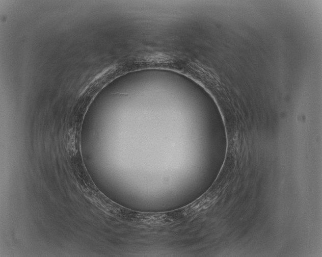 X0000083011205200702161542