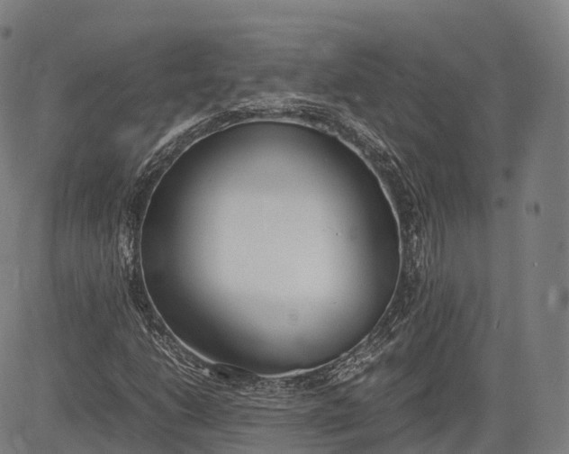 X0000083011206200702161543